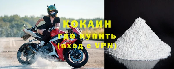 шишки Верея