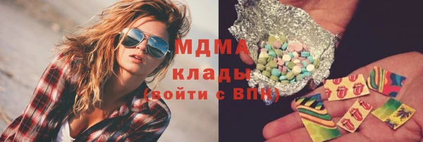 прущие грибы Верхний Тагил