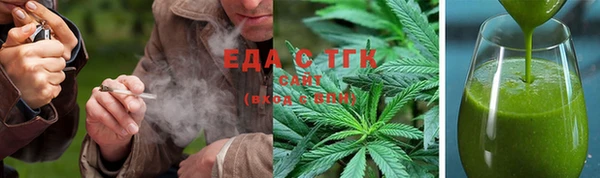 прущие грибы Верхний Тагил