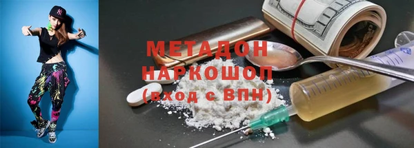шишки Верея