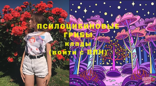 шишки Верея