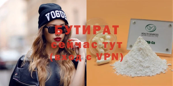 шишки Верея