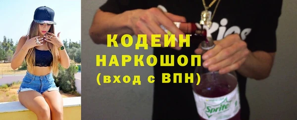 шишки Верея