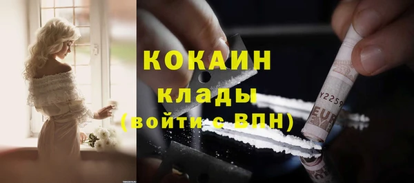 прущие грибы Верхний Тагил