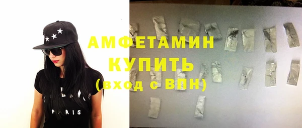 шишки Верея