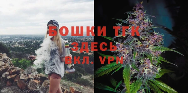 прущие грибы Верхний Тагил