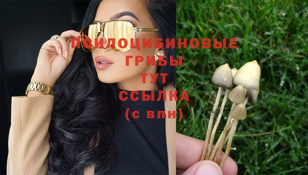 прущий лед Богородицк