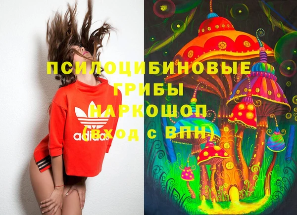 шишки Верея