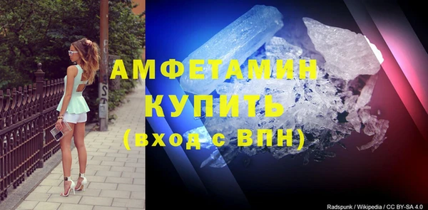 шишки Верея
