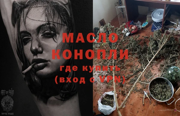 дмт Рославль