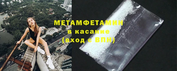 прущие грибы Верхний Тагил
