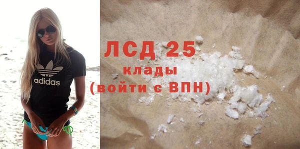 прущие грибы Верхний Тагил