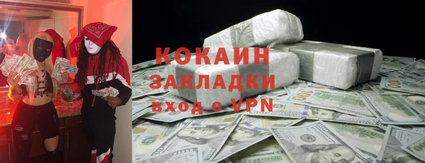 прущие грибы Верхний Тагил