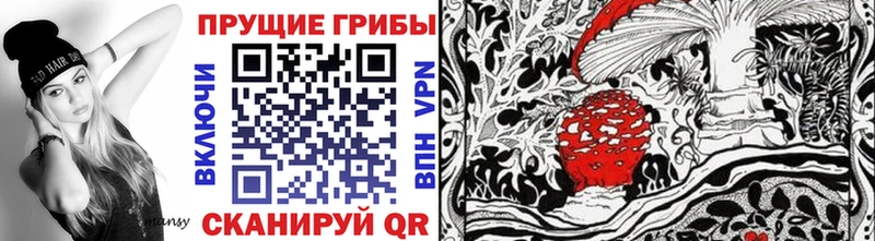 продажа наркотиков  Чишмы  Псилоцибиновые грибы Psilocybine cubensis 